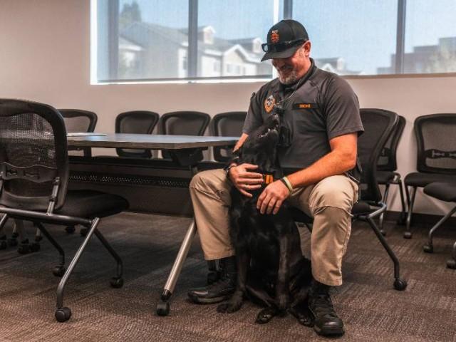 雪松狗坐在一个警察的脚边，抬头看着他